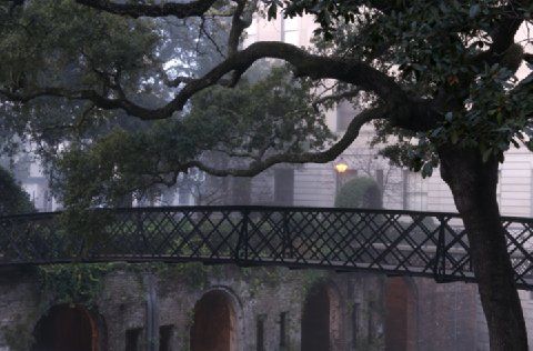 Hotel Comfort & Savannah